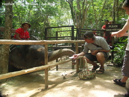 20090417 Half Day Safari - Elephant  87 of 104  001